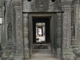 Gosia in Ta Prohm