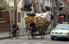 Shanghai: Bicyclist