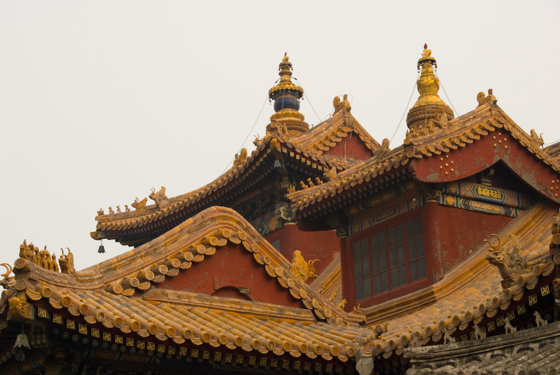 CHN_0795