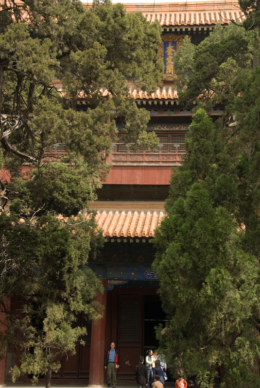 CHN_0959