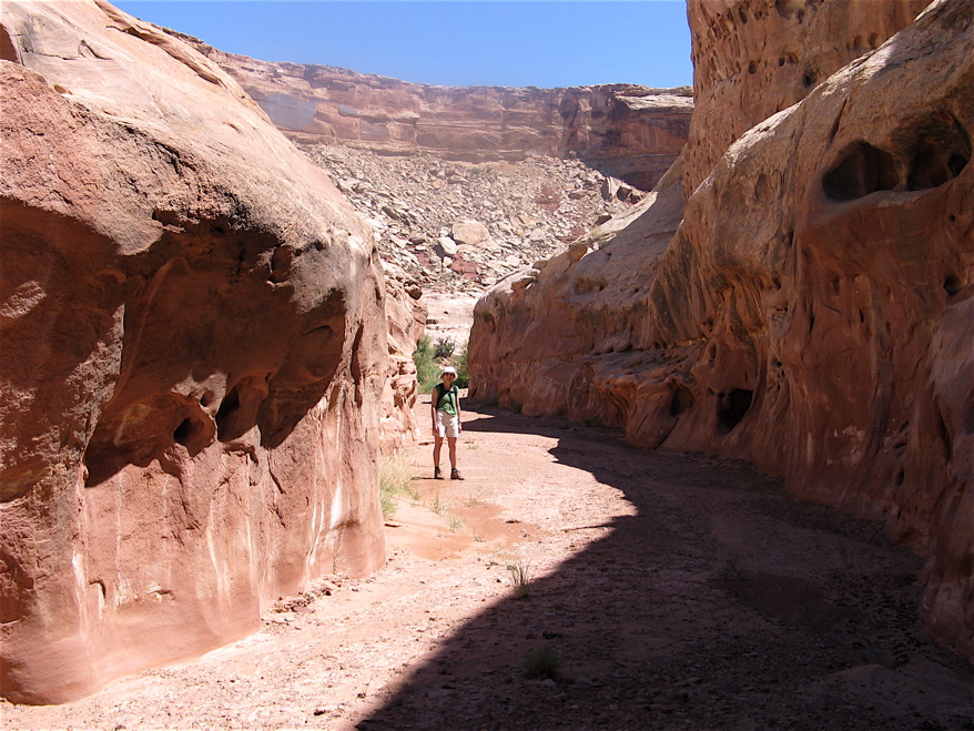 in Horseshoe Canyon