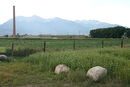 Shavano Peak (14225) from Merry & Erik's compound