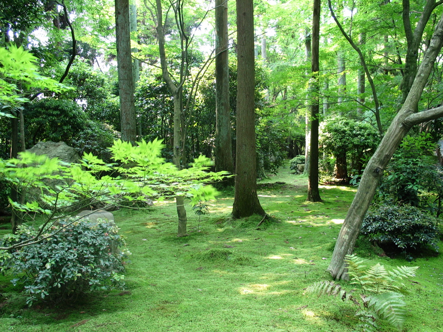 outside the temple