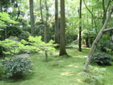 outside the temple