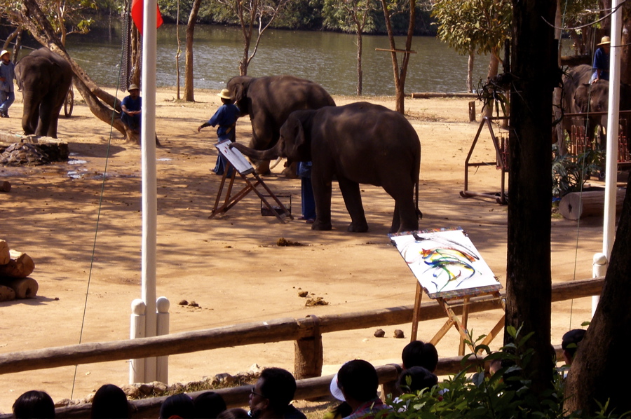Elephants painting