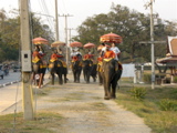 Ayutthaya: Stampede!