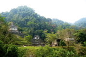 Palenque16